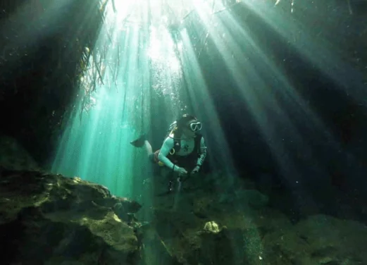Dive and Snorkel Tulum