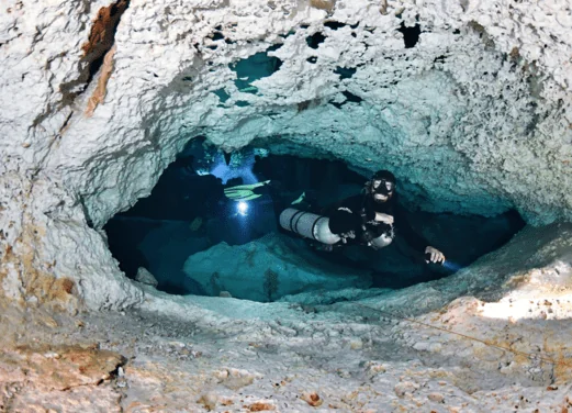 Best Cenote Dives