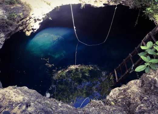 Best Cenote Dives