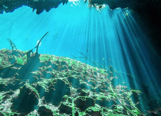 Best Cenote Dives
