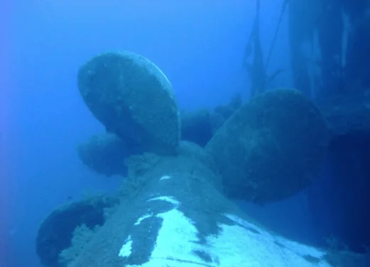 Ocean View Diving