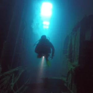 Ocean View Diving