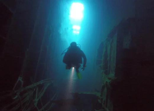 Ocean View Diving