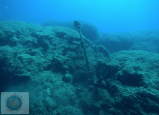 Royal Octopus Dive Center