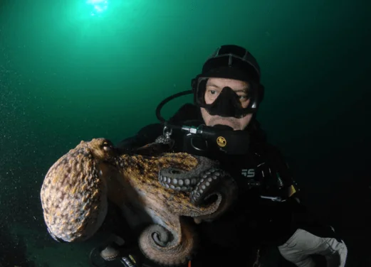 Buceo Islas Cies