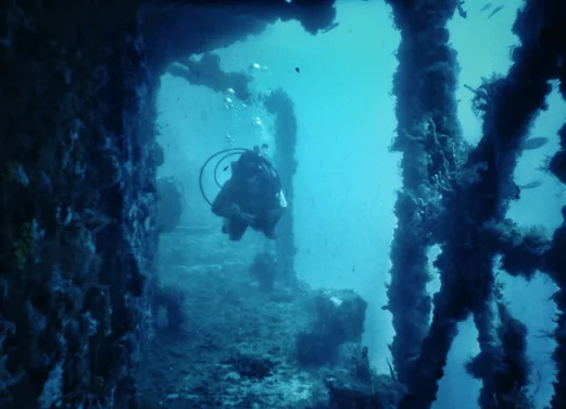 Zissou Divers