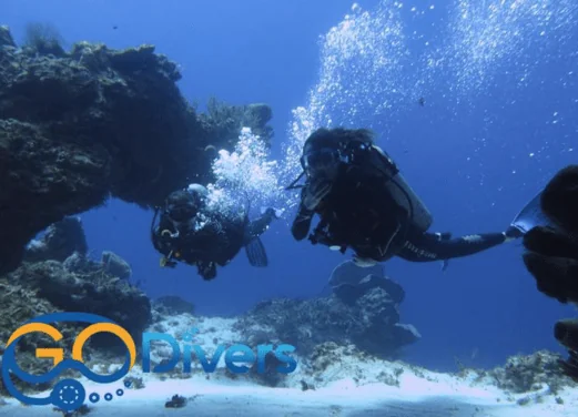 Go Divers