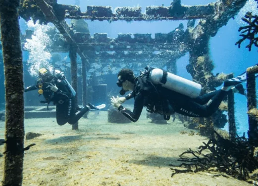 Go Divers