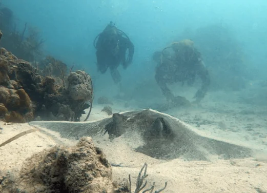 Odyssea Expeditions