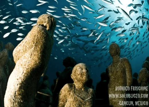 Solo Buceo
