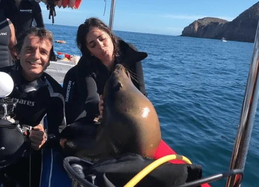 La Paz Sea Lions Dive Center