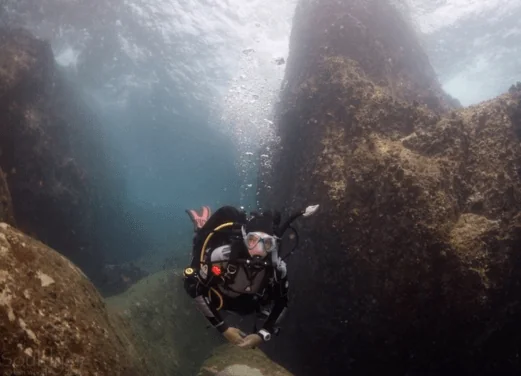 Rainbow Divers