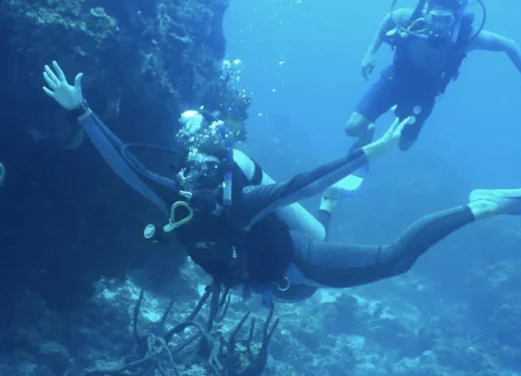 Cozumel Dive School