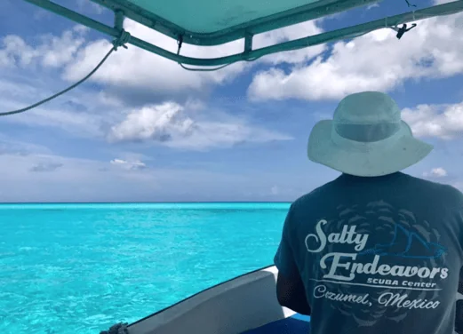 Salty Endeavors