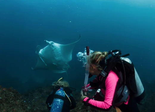 Byron Bay Dive Centre