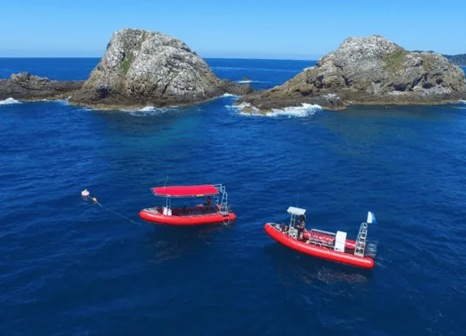 Byron Bay Dive Centre