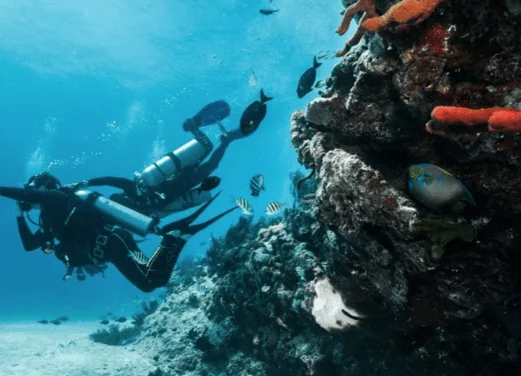 Dive 48 Riviera Maya