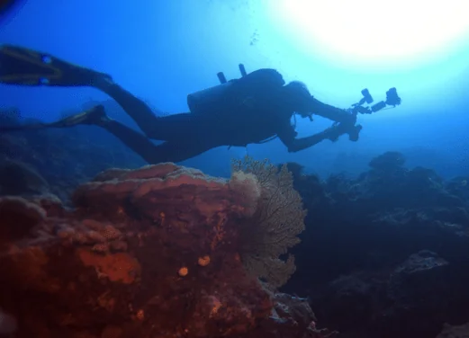 Pro Dive Central Coast