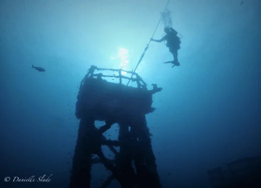 Pro Dive Central Coast