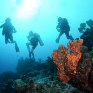 Jan Thiel Diving