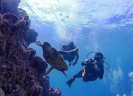 Coiba Dive Center