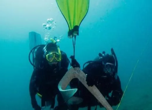 Ocean Diving Center