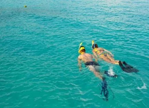 Ocean Diving Center