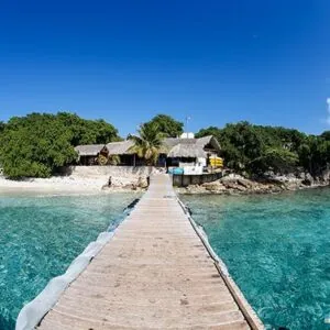 Go West Diving