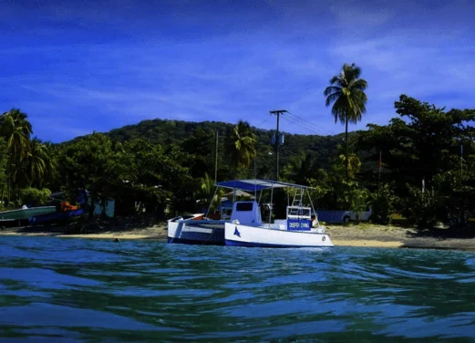 DEEFER DIVING CARRIACOU