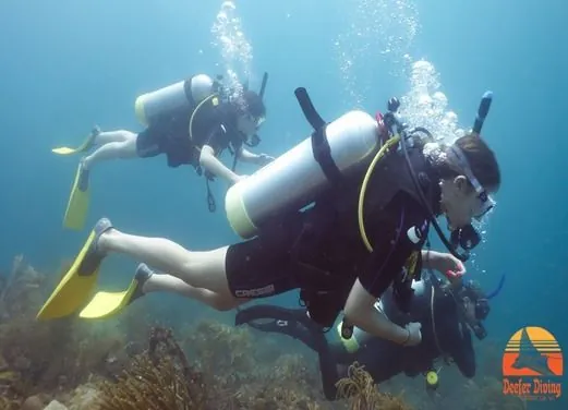 DEEFER DIVING CARRIACOU