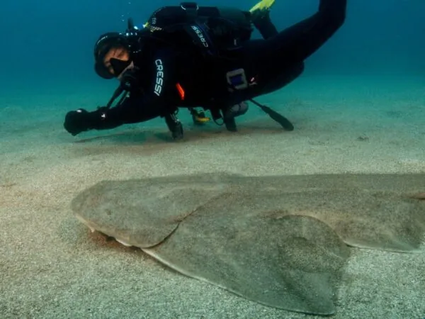Davy Jones Diving