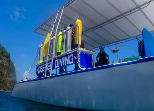 DEEFER DIVING CARRIACOU