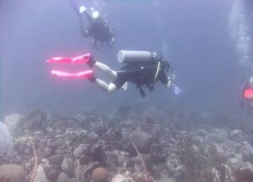 Dive Hightide Water Sports