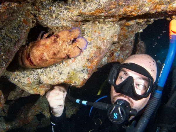 Davy Jones Diving