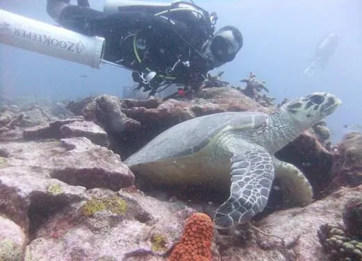 Dive Hightide Water Sports