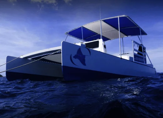 DEEFER DIVING CARRIACOU