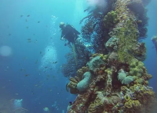 Dive Hightide Water Sports