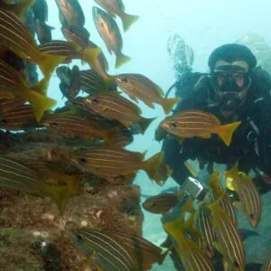 Davy Jones Diving