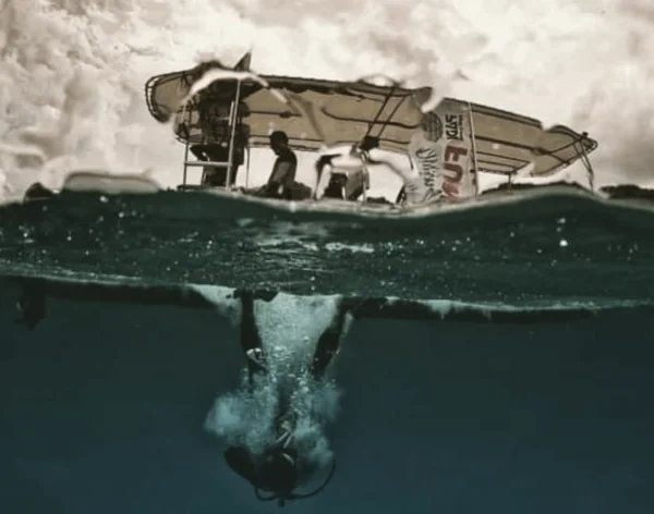 Turtle Divers