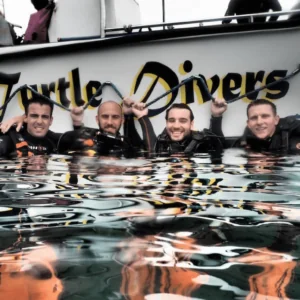 Turtle Divers