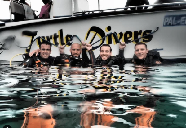 Turtle Divers