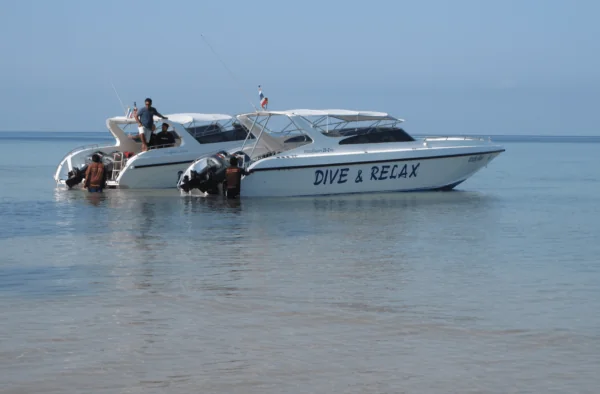 Dive and Relax
