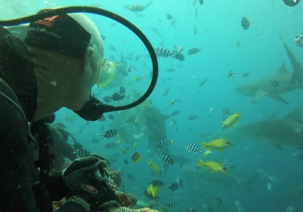 Whitetip Marine Adventures