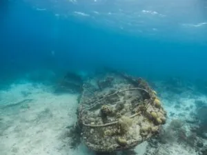 Saba Shipwreck