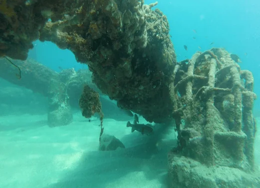 Crashboat_Watersports_Reef