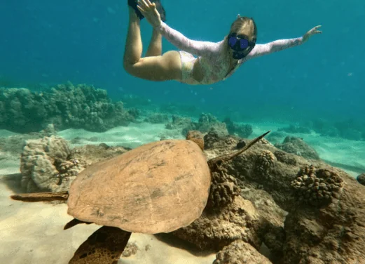 Try Scuba Diving Snorkeler