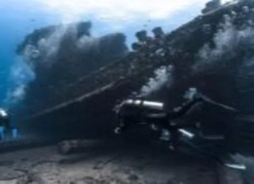 Aloha-Scuba-Diving-Co 3