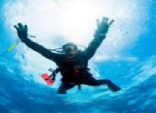Aloha-Scuba-Diving-Co 4