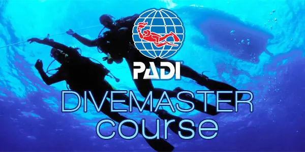 DIVEMASTER INTERNSHIP Featured Image