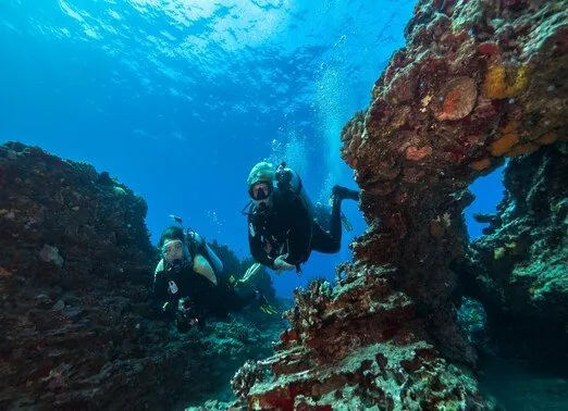 Dive Oahu 1